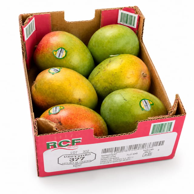 Jumbo Kent Mangos Case - 6 Pieces.