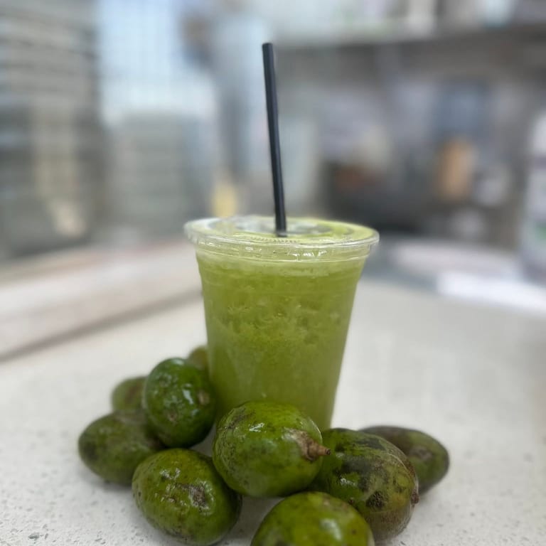 Discover Our Plum Juice