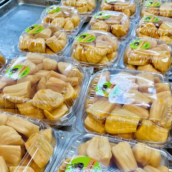 Numerous clear plastic containers filled with fresh, yellow jackfruit pieces from Linda's Tropical Fruits.