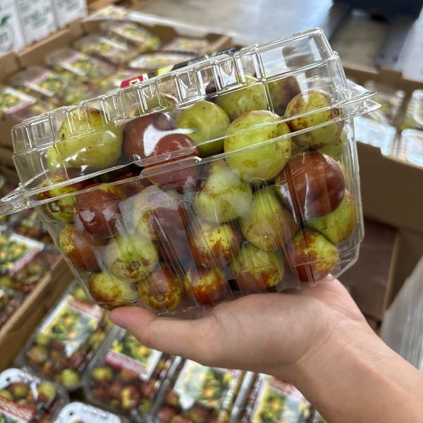 A hand holds a clear plastic container filled with green and reddish-brown jujube fruits.