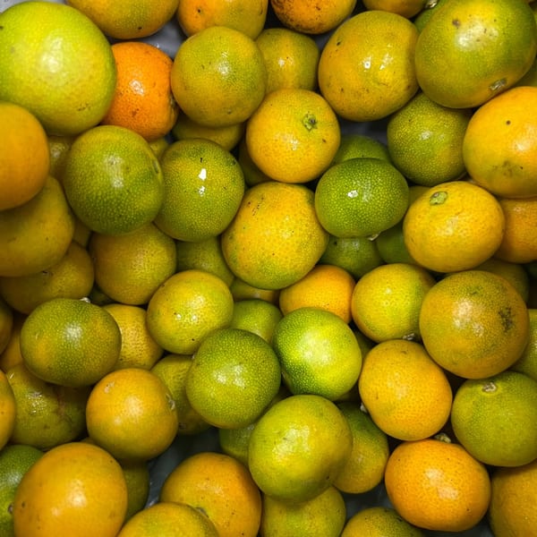 A close-up, overhead view of many small, round, green and orange citrus fruits.